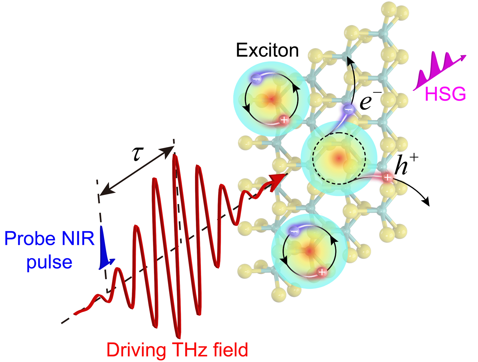 Terahertz Solid High-Order Harmonics