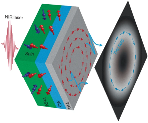 Terahertz Light Field Control and Light Source Design